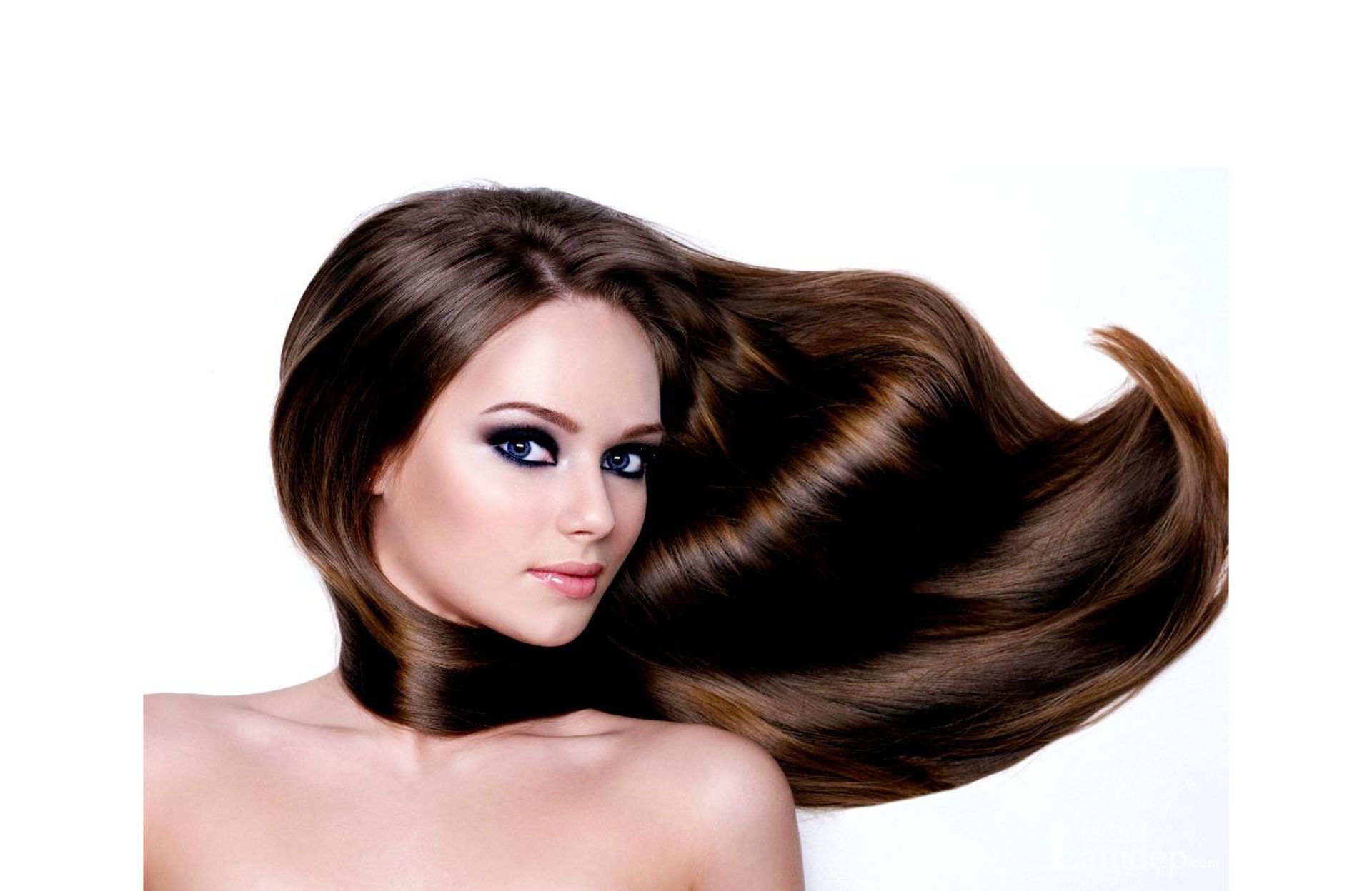Bí quyết chọn dầu gội đầu cho tóc rụng nhiều